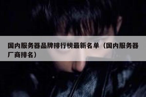 国内服务器品牌排行榜最新名单（国内服务器厂商排名） 第1张