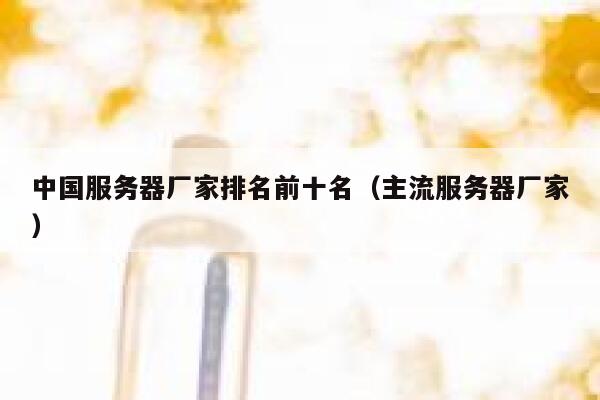 中国服务器厂家排名前十名（主流服务器厂家） 第1张