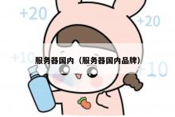 服务器国内（服务器国内品牌） 第1张