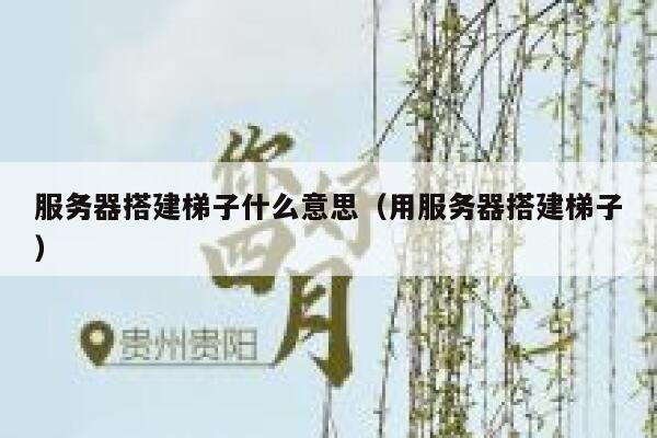 服务器搭建梯子什么意思（用服务器搭建梯子） 第1张