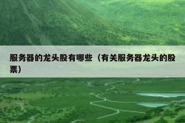 服务器的龙头股有哪些（有关服务器龙头的股票） 第1张