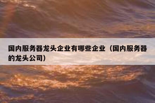 国内服务器龙头企业有哪些企业（国内服务器的龙头公司） 第1张