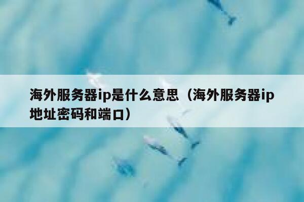 海外服务器ip是什么意思（海外服务器ip地址密码和端口） 第1张