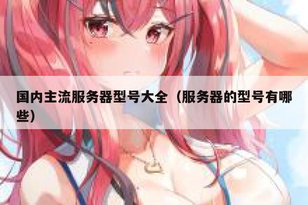 国内主流服务器型号大全（服务器的型号有哪些） 第1张