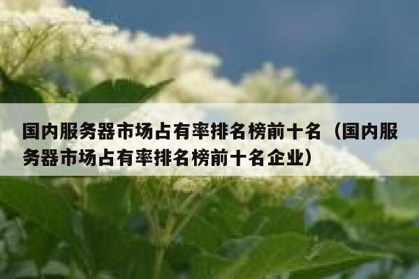 国内服务器市场占有率排名榜前十名（国内服务器市场占有率排名榜前十名企业） 第1张
