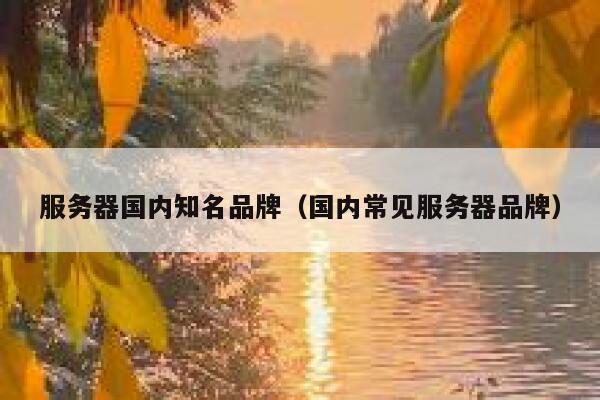 服务器国内知名品牌（国内常见服务器品牌） 第1张
