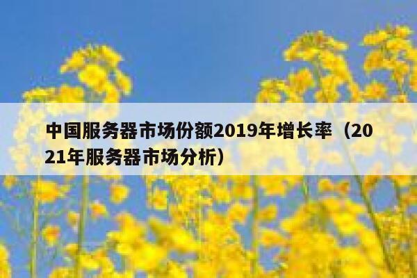 中国服务器市场份额2019年增长率（2021年服务器市场分析） 第1张