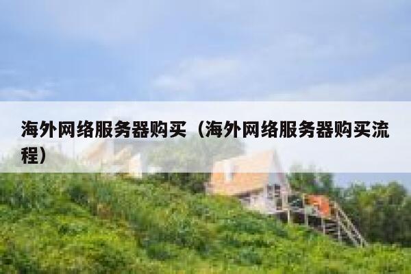 海外网络服务器购买（海外网络服务器购买流程） 第1张