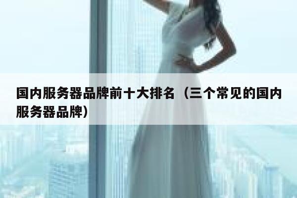 国内服务器品牌前十大排名（三个常见的国内服务器品牌） 第1张