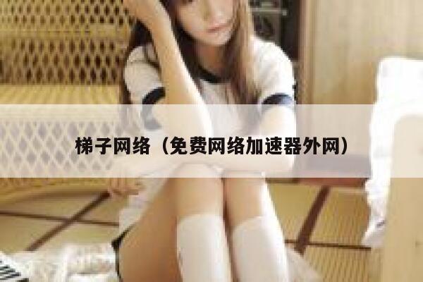 梯子网络（免费网络加速器外网） 第1张