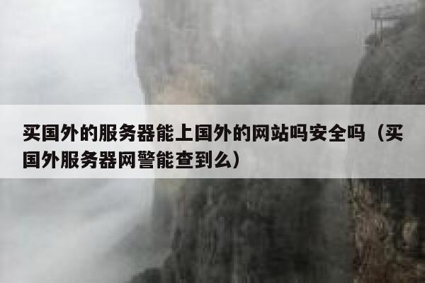买国外的服务器能上国外的网站吗安全吗（买国外服务器网警能查到么） 第1张