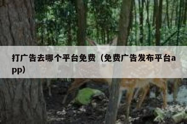 打广告去哪个平台免费（免费广告发布平台app） 第1张