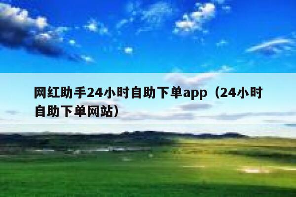网红助手24小时自助下单app（24小时自助下单网站） 第1张