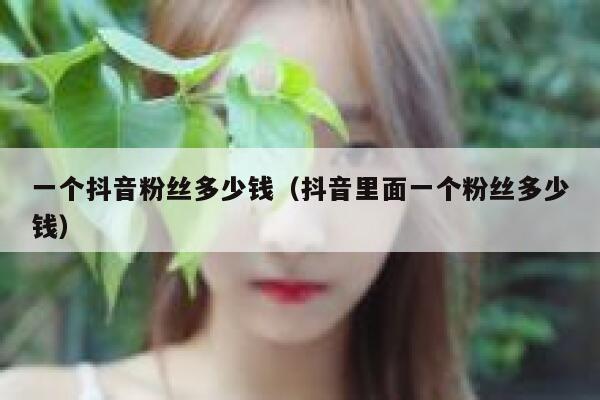 一个抖音粉丝多少钱（抖音里面一个粉丝多少钱） 第1张