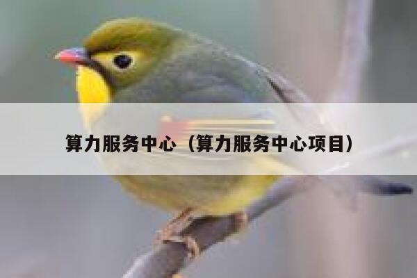 算力服务中心（算力服务中心项目） 第1张