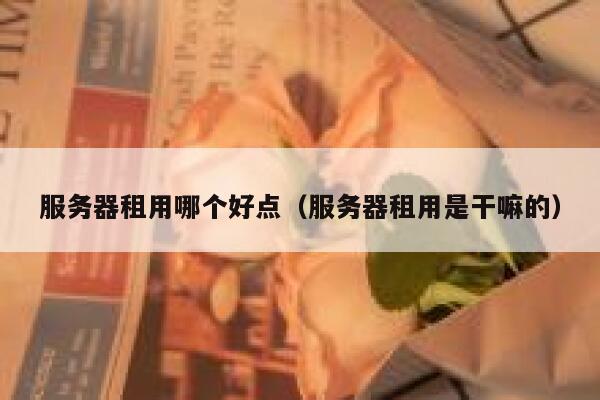 服务器租用哪个好点（服务器租用是干嘛的） 第1张