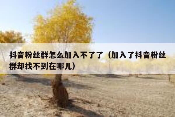 抖音粉丝群怎么加入不了了（加入了抖音粉丝群却找不到在哪儿） 第1张