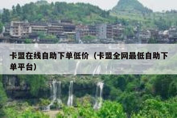 卡盟在线自助下单低价（卡盟全网最低自助下单平台） 第1张