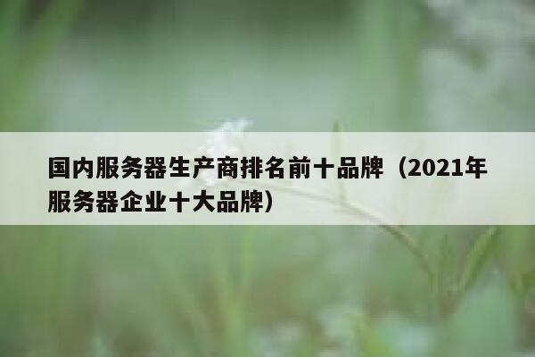 国内服务器生产商排名前十品牌（2021年服务器企业十大品牌） 第1张