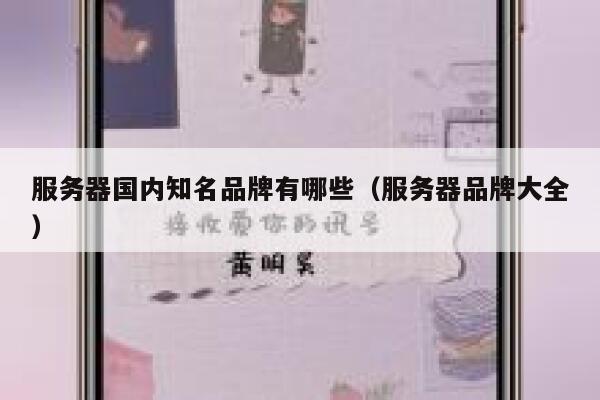 服务器国内知名品牌有哪些（服务器品牌大全） 第1张