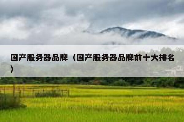 国产服务器品牌（国产服务器品牌前十大排名） 第1张