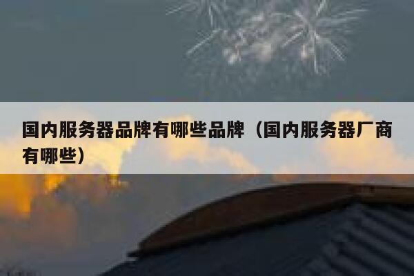 国内服务器品牌有哪些品牌（国内服务器厂商有哪些） 第1张