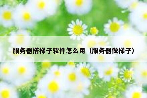 服务器搭梯子软件怎么用（服务器做梯子） 第1张