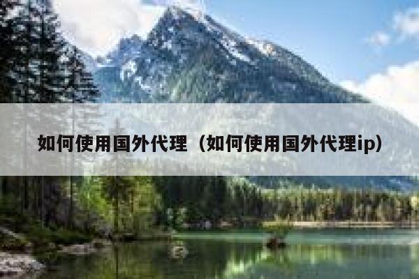 如何使用国外代理（如何使用国外代理ip） 第1张