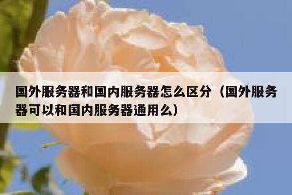 国外服务器和国内服务器怎么区分（国外服务器可以和国内服务器通用么） 第1张