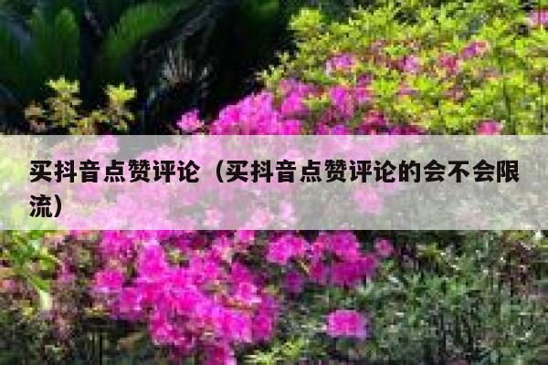 买抖音点赞评论（买抖音点赞评论的会不会限流） 第1张