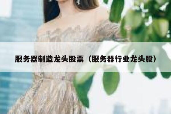 服务器制造龙头股票（服务器行业龙头股） 第1张