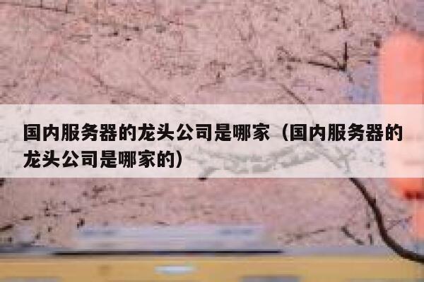 国内服务器的龙头公司是哪家（国内服务器的龙头公司是哪家的） 第1张