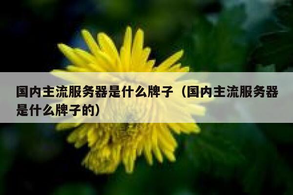 国内主流服务器是什么牌子（国内主流服务器是什么牌子的） 第1张