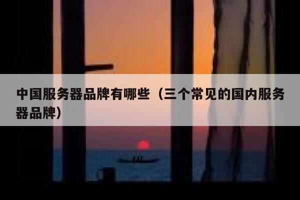 中国服务器品牌有哪些（三个常见的国内服务器品牌） 第1张