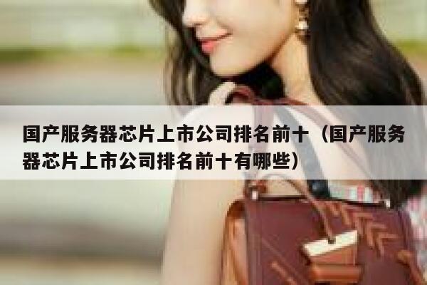 国产服务器芯片上市公司排名前十（国产服务器芯片上市公司排名前十有哪些） 第1张
