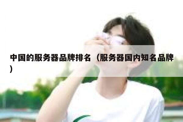 中国的服务器品牌排名（服务器国内知名品牌） 第1张