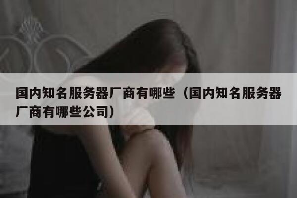 国内知名服务器厂商有哪些（国内知名服务器厂商有哪些公司） 第1张