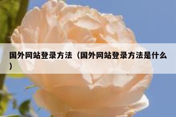 国外网站登录方法（国外网站登录方法是什么） 第1张