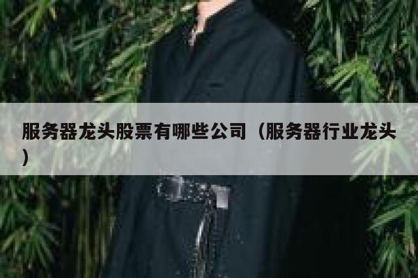 服务器龙头股票有哪些公司（服务器行业龙头） 第1张