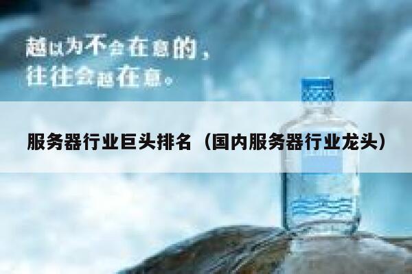服务器行业巨头排名（国内服务器行业龙头） 第1张