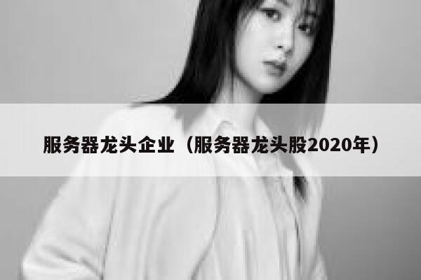 服务器龙头企业（服务器龙头股2020年） 第1张