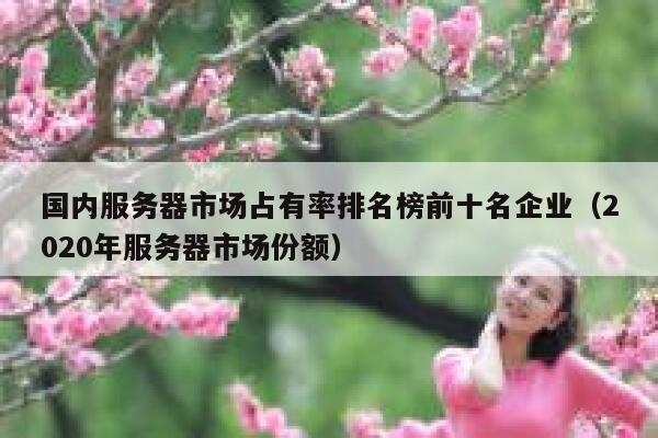 国内服务器市场占有率排名榜前十名企业（2020年服务器市场份额） 第1张