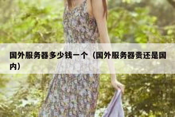 国外服务器多少钱一个（国外服务器贵还是国内） 第1张