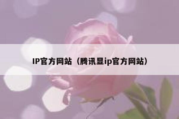IP官方网站（腾讯显ip官方网站） 第1张