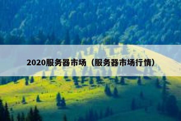 2020服务器市场（服务器市场行情） 第1张