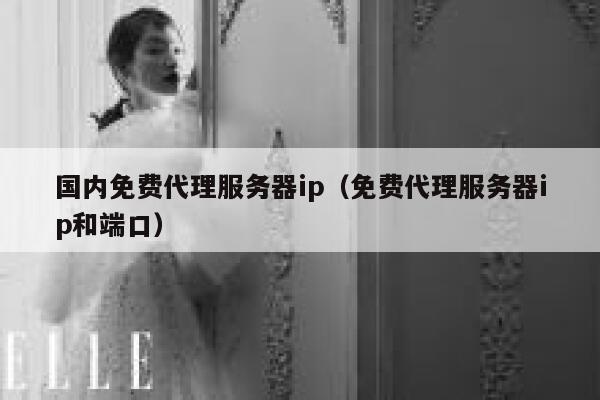 国内免费代理服务器ip（免费代理服务器ip和端口） 第1张