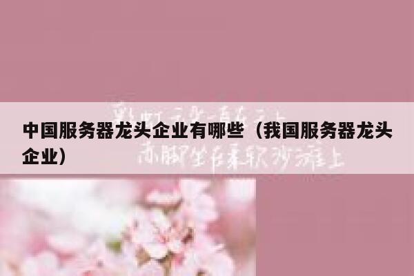 中国服务器龙头企业有哪些（我国服务器龙头企业） 第1张