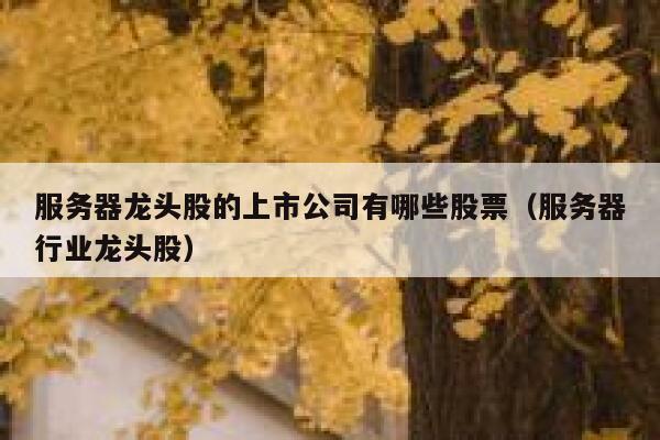 服务器龙头股的上市公司有哪些股票（服务器行业龙头股） 第1张