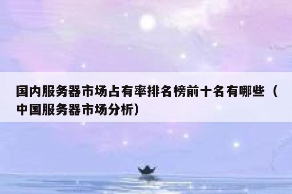 国内服务器市场占有率排名榜前十名有哪些（中国服务器市场分析） 第1张