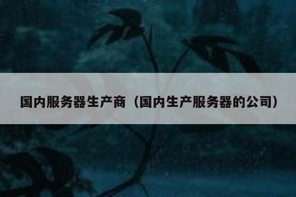 国内服务器生产商（国内生产服务器的公司） 第1张
